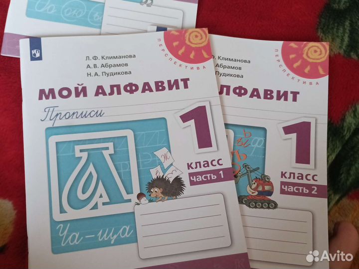 Тетради 1 класс, Перспектива