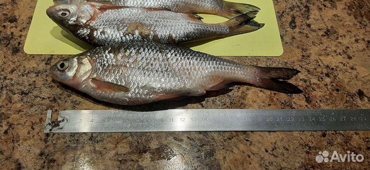 Продукты питания