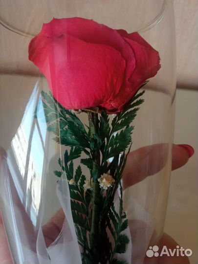 Роза в стекле