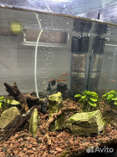 Аквариум куб dennerle 60 л с рыбками