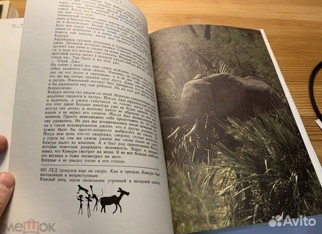 Сафари под килиманджаро 1979