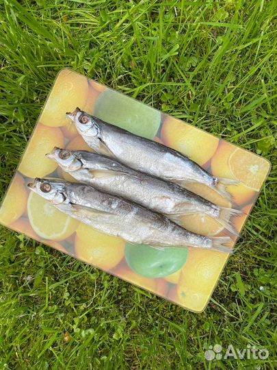 Копченая и вяленая рыба