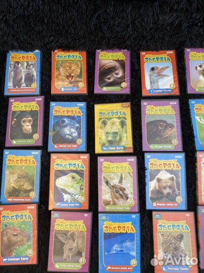 Коллекция Твои веселые друзья зверята dvd журналы