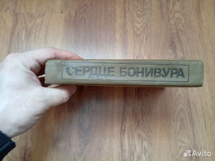 Дмитрий Нагишкин. Сердце Бонивура. 1984 год