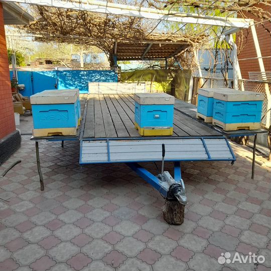 Прицеп легковой для пчел