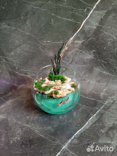 Флорариум (Моссариум) мини