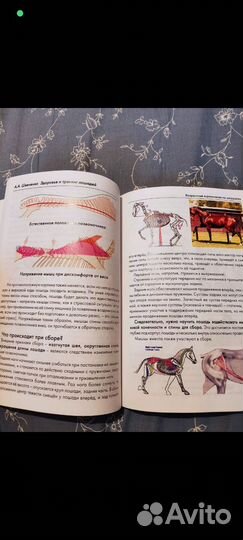 Книги про лошадей