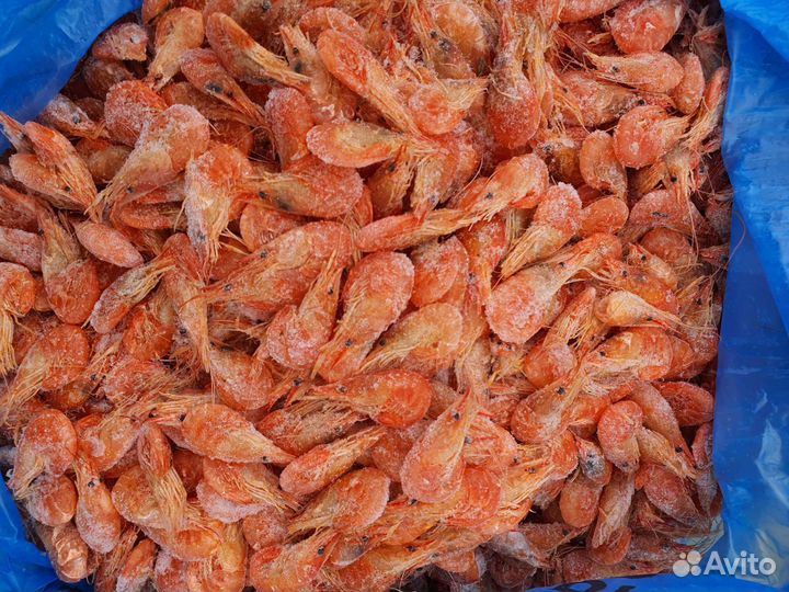 Черноморская креветка опт и розница