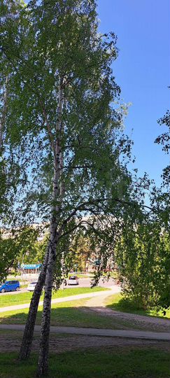 3-к. квартира, 74,1 м², 1/9 эт.