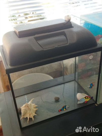 Аквариум 30 литров
