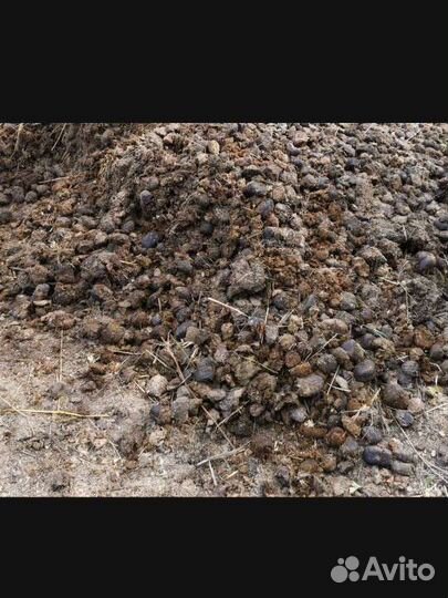 Навоз конский в мешках чернозём