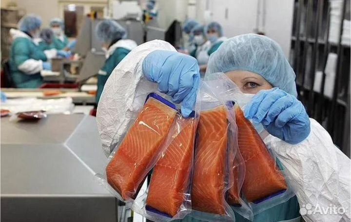 Москва Вахта -Упаковщик экзотических морепродуктов