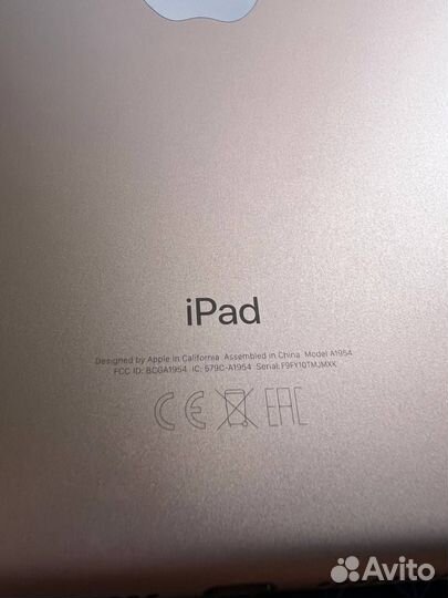 iPad