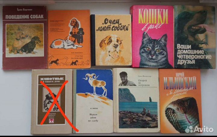 Домоводство, медицина, о животных и природе