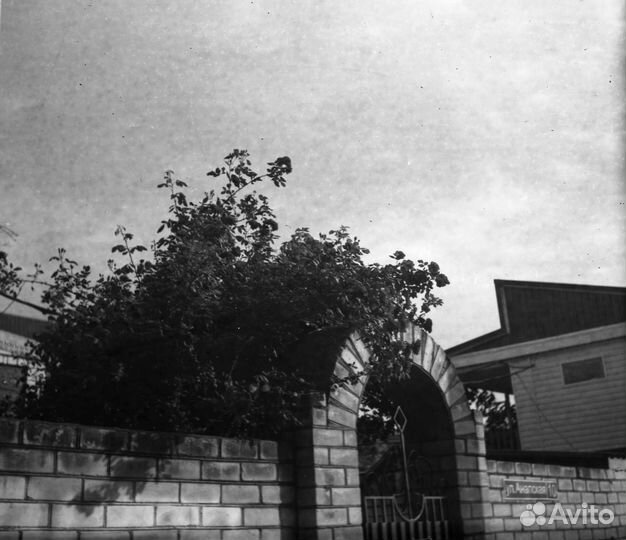 Фотоплёнка свема 65 тип 120, 3 шт