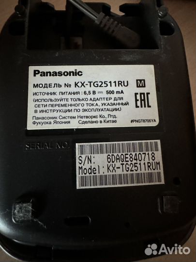 Panasonic