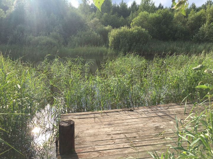 Участок 25 сот. (ИЖС)