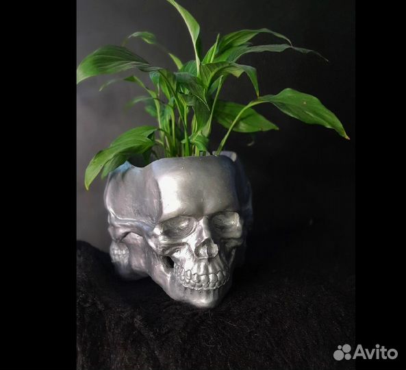 Череп, черепа для интерьера, террариума