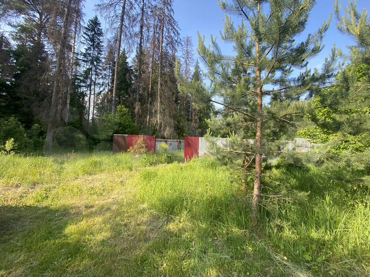 Участок 12,5 сот. (ИЖС)