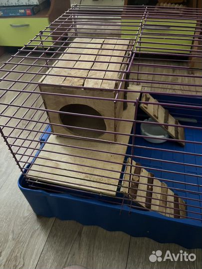 Клетка для морской свинки бу