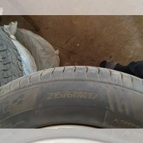 Delinte AW5 8.4/8 R17