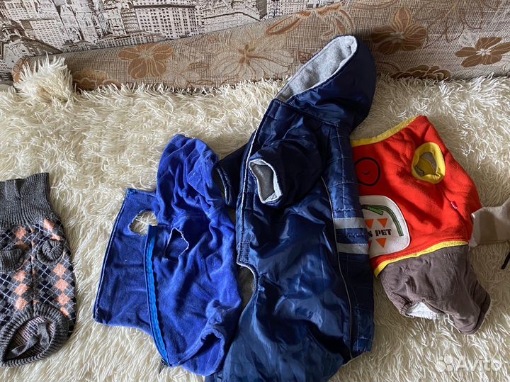 Маленькие вещи на собаку