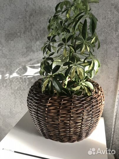 Кашпо-пузатик из искусственного ротанга 12 литров