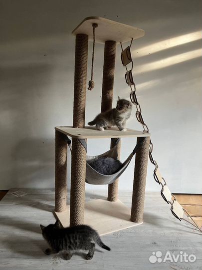 Домик для кошки с когтеточкой