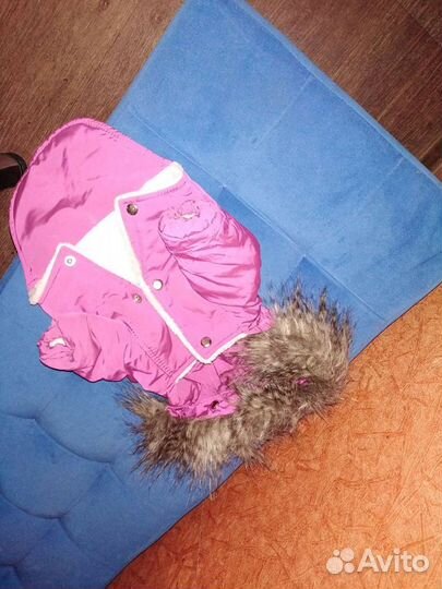 Курточка новая на собачку