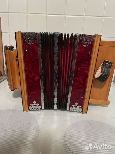 Саратовская гармонь