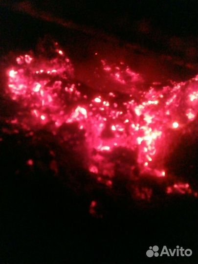 Шелуха подсолнечника (лузга)