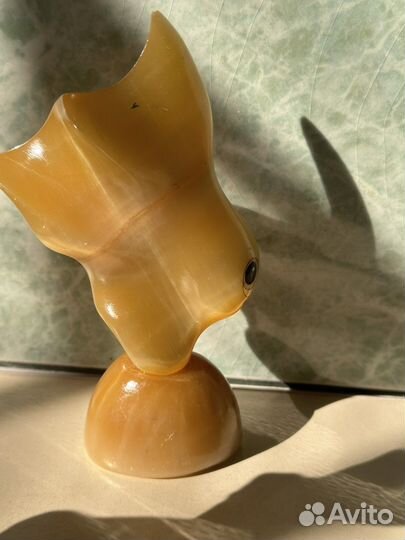 Рыбка,собачка