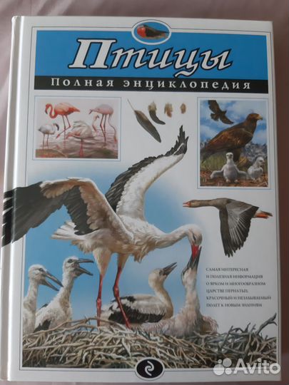Птицы. Полная энциклопедия