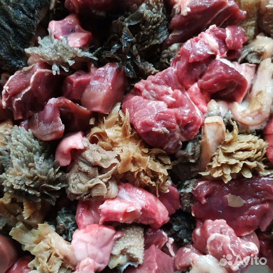 Мясо для собак и кошек
