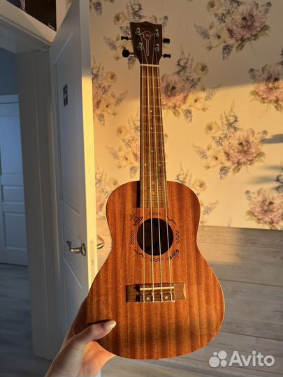 Укулеле flight концерт