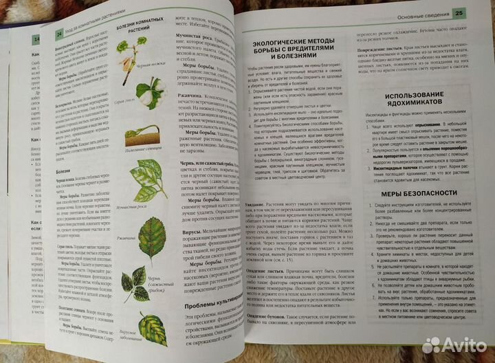 Энциклопедия комнатных растений