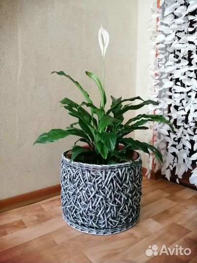 Корзина плетёная (Кашпо для цветов)