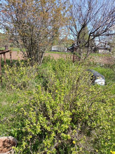 Участок 15 сот. (ИЖС)