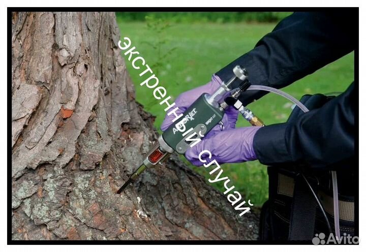 Лечение деревьев,уничтожение короеда,покос и тд