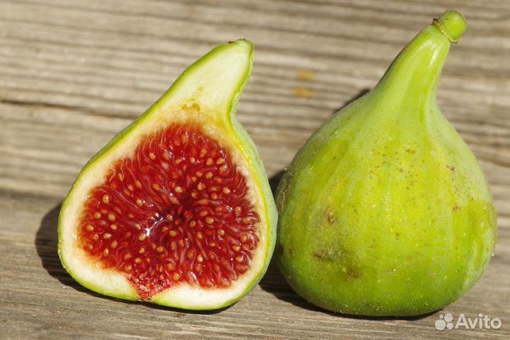 Панаши, панч, полосатый инжир, гарантия сортности