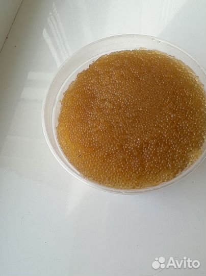 Икра щуки без консервантов