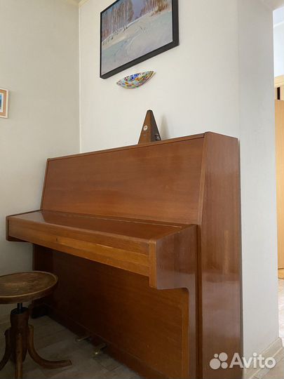 Пианино bluthner