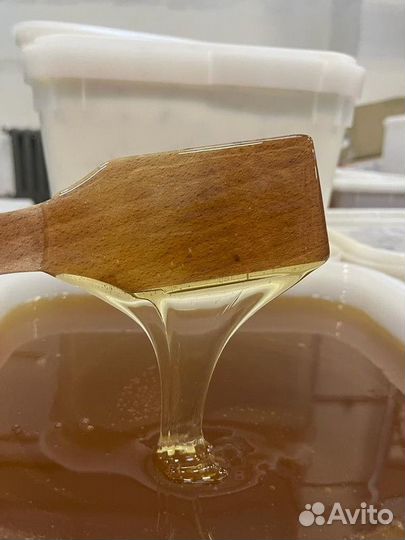 Липовый свежий натуральный мёд Оптом