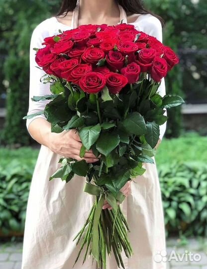 Высокие розы Гигантские розы Доставка цветов