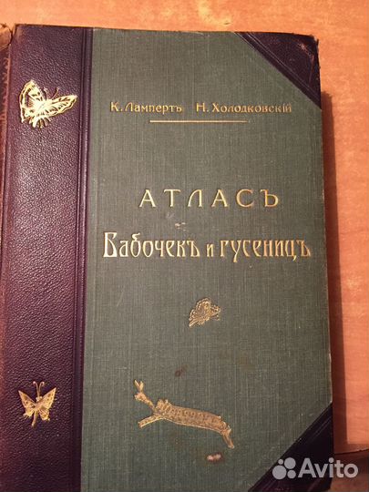 Энциклопедия бабочек