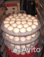 Тестоделитель округлитель