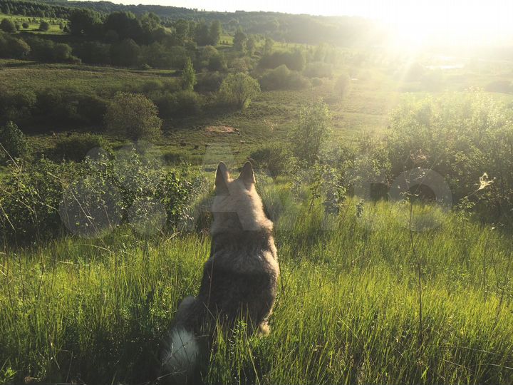 Дом 25,8 м² на участке 17 сот.