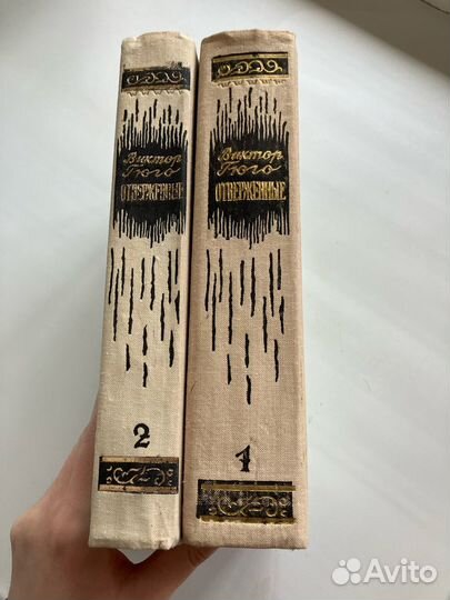 Отверженные (комплект из 2 книг)