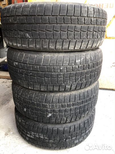 Dunlop Winter Maxx WM01 205/55 R17 91Q