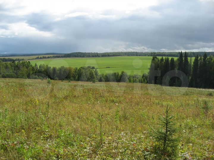 Участок 6,63 га (СНТ, ДНП)